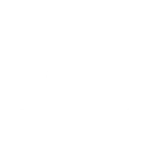 Style Heaven